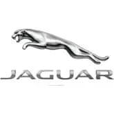 jaguar-icon